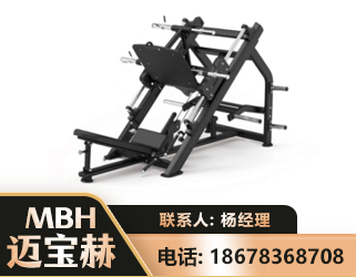 定西45°倒蹬训练器