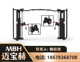 定西大飞鸟训练器