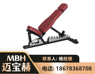 定西可调哑铃椅