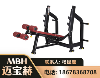 定西豪华下斜卧推架