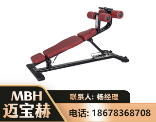 定西可调腹肌板