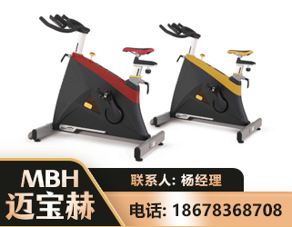 定西商用动感单车