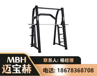 定西史密斯机